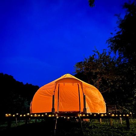 Flore'S Garden Glamping Bran  Exterior photo