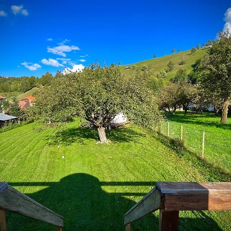 Flore'S Garden Glamping Bran  Exterior photo