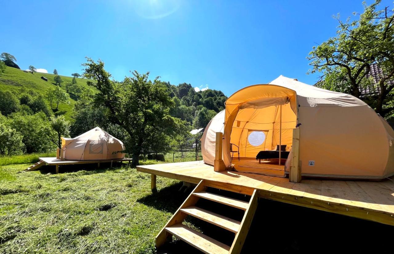 Flore'S Garden Glamping Bran  Exterior photo