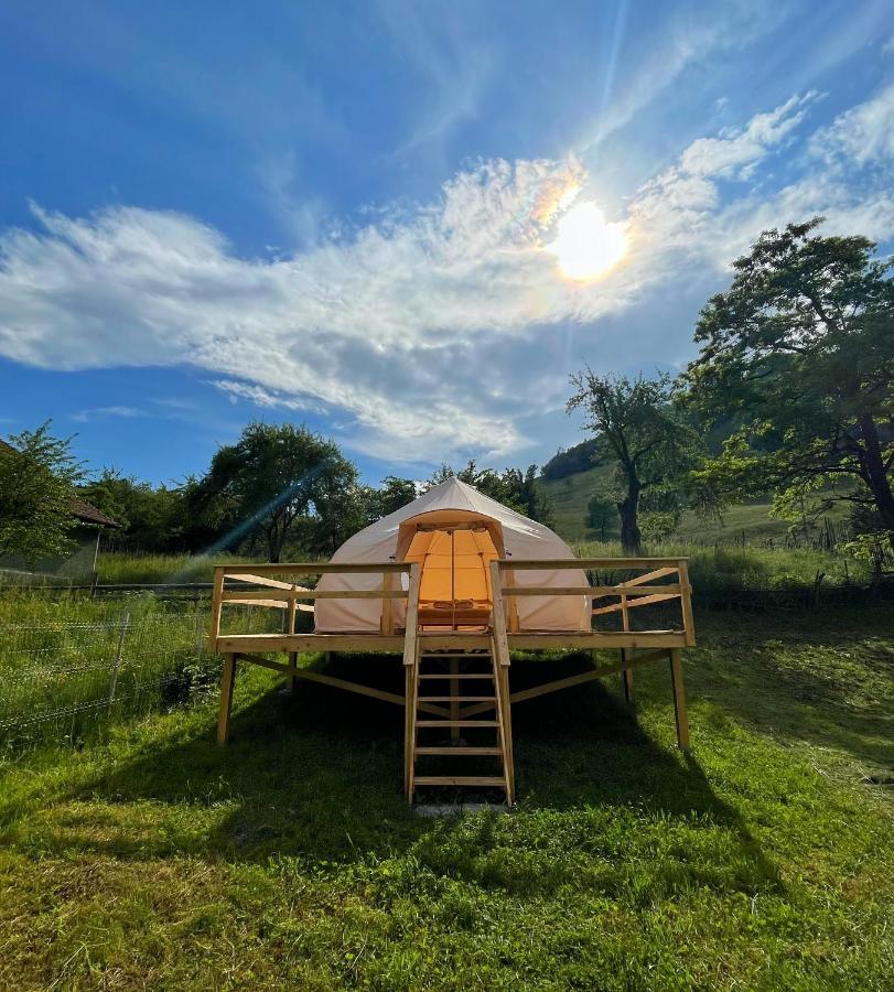 Flore'S Garden Glamping Bran  Exterior photo