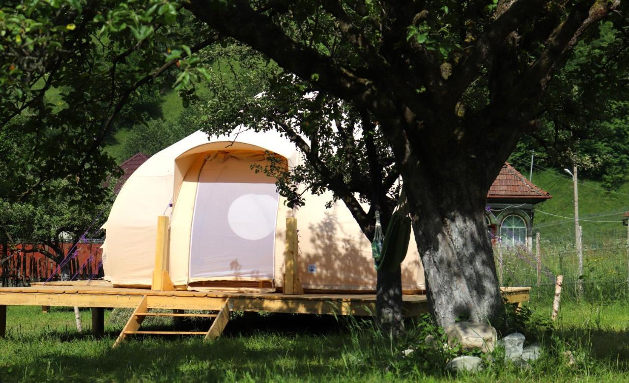 Flore'S Garden Glamping Bran  Exterior photo