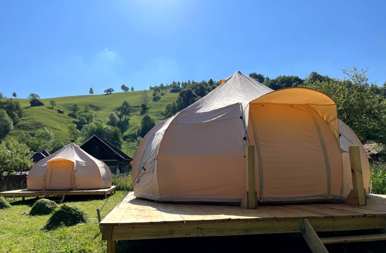 Flore'S Garden Glamping Bran  Exterior photo