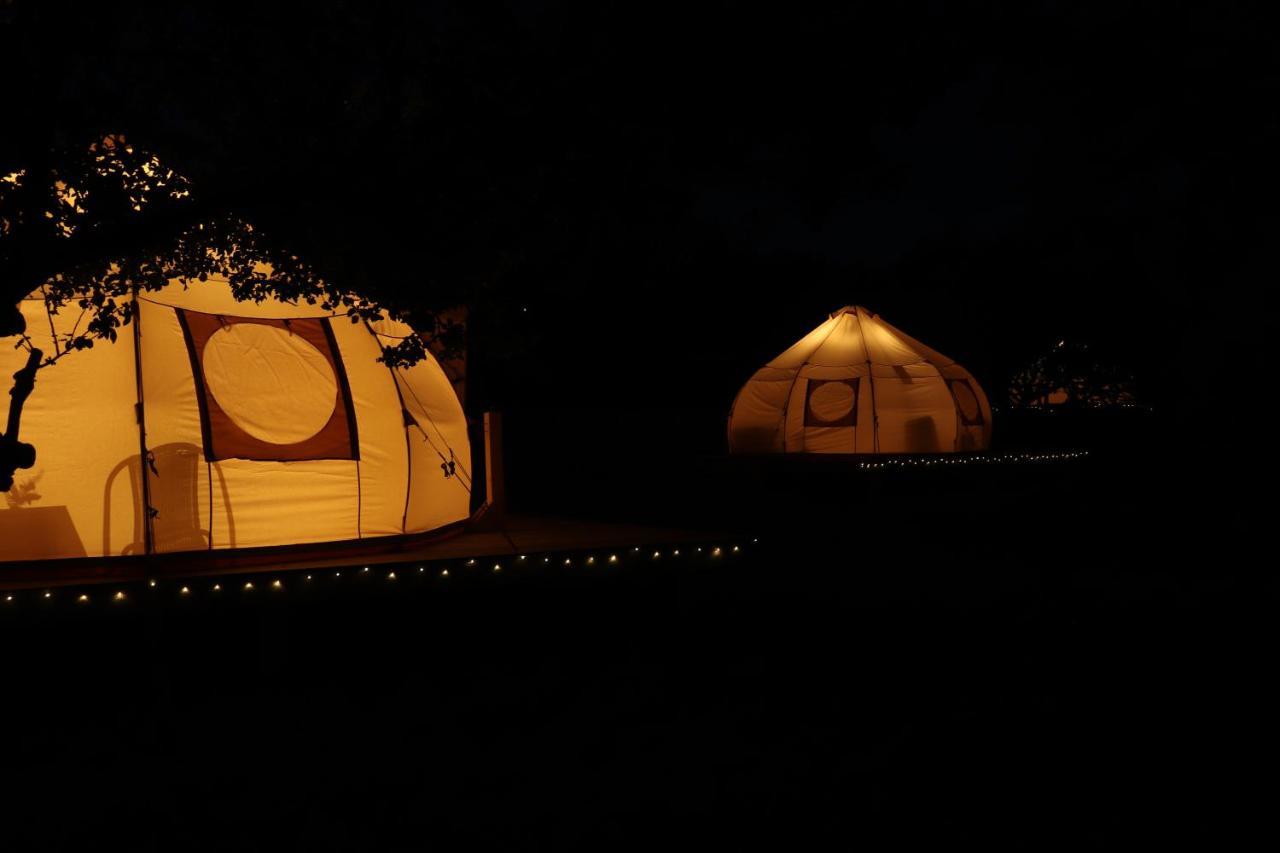 Flore'S Garden Glamping Bran  Exterior photo