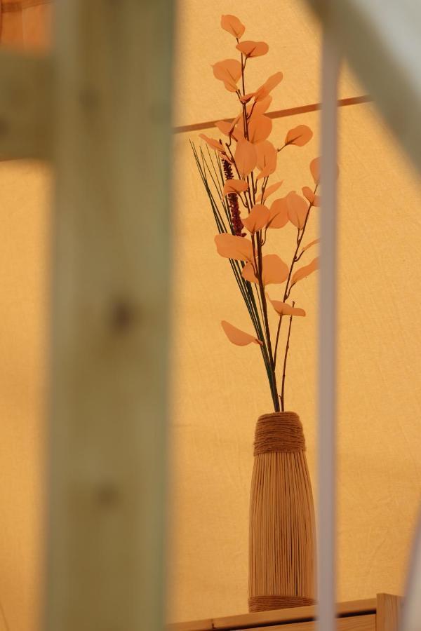Flore'S Garden Glamping Bran  Exterior photo