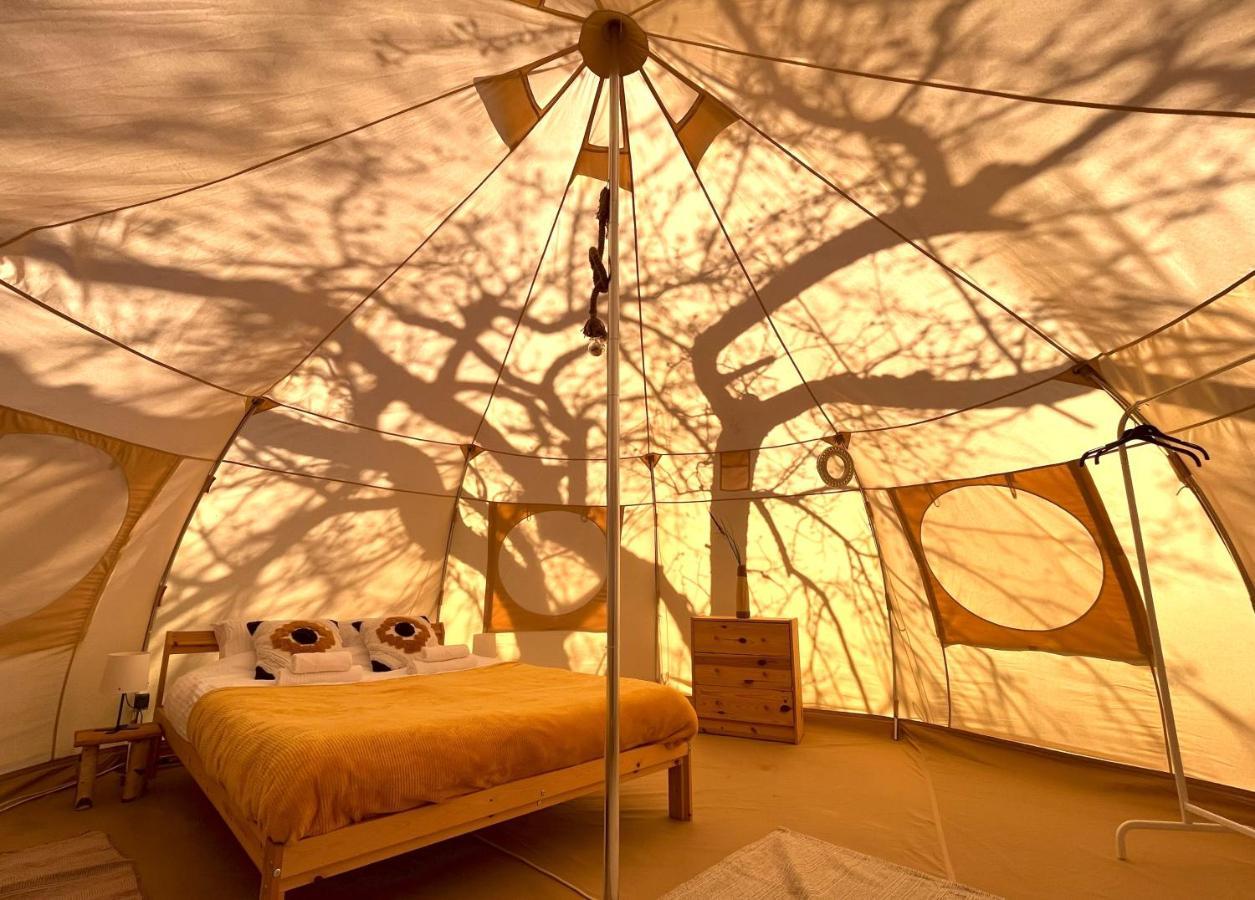 Flore'S Garden Glamping Bran  Exterior photo