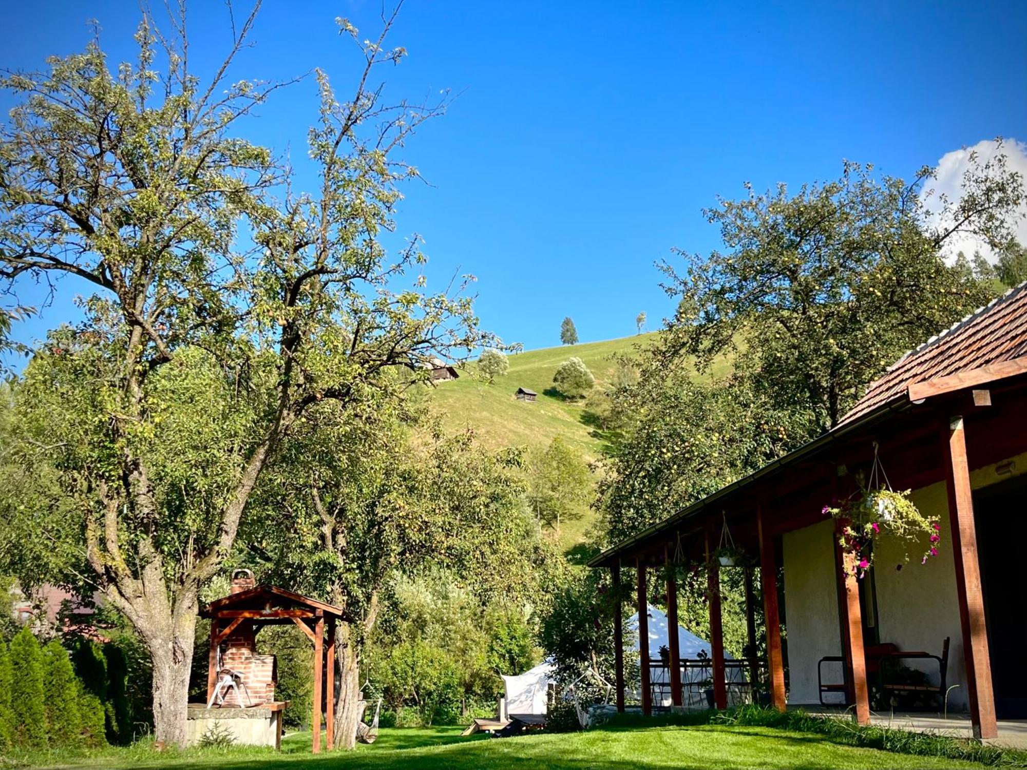 Flore'S Garden Glamping Bran  Exterior photo