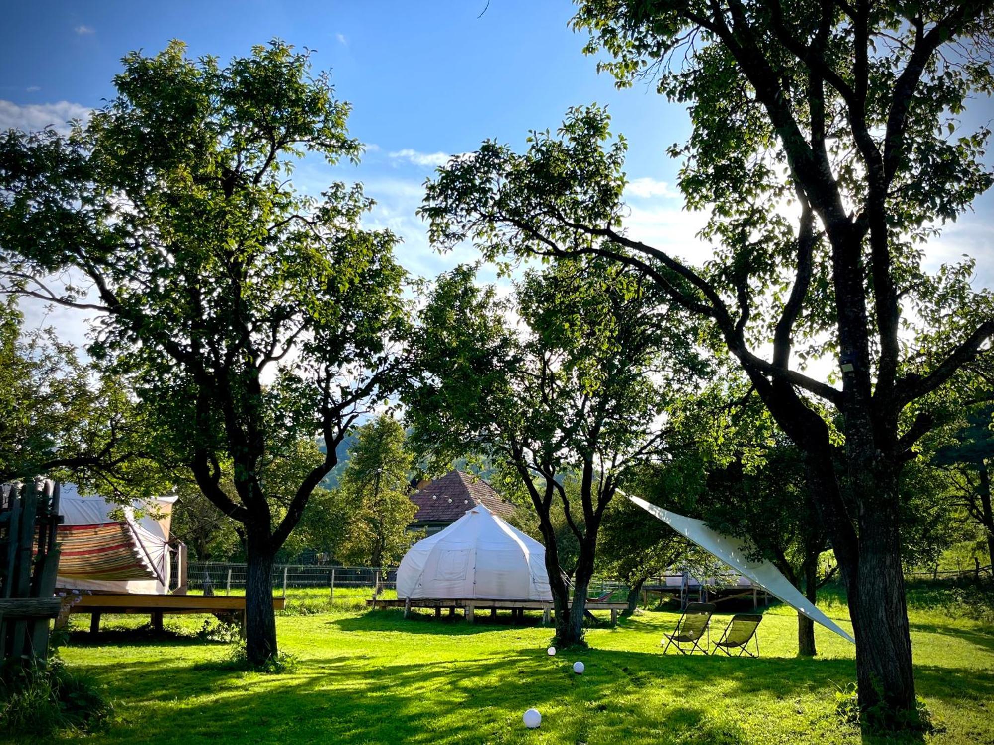 Flore'S Garden Glamping Bran  Exterior photo